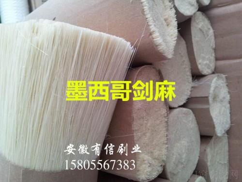 热销墨西哥优质剑麻丝 植物纤维剑麻丝 进口剑麻刷丝,厂家直销